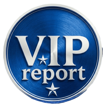 VIPreport Logo Silver